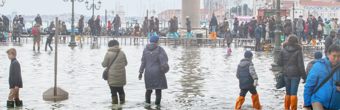 BRIGAID Conference in Venice