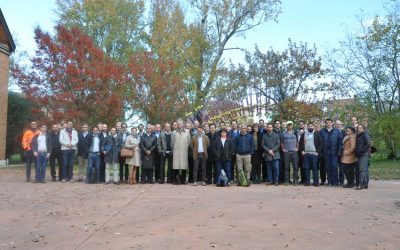 The BRIGAID Conference at Venice