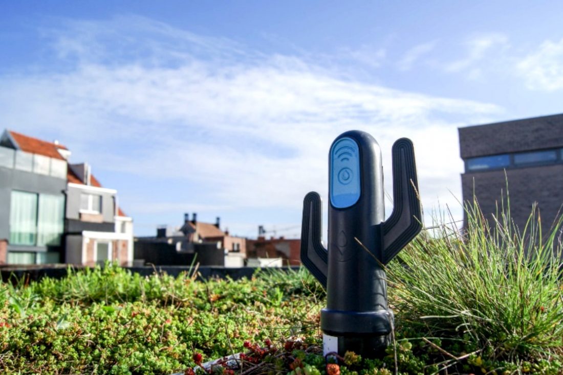 BRIGAID COI Antwerp Saint Andries Living Lab Groendakevent Smart Green Roof Photo