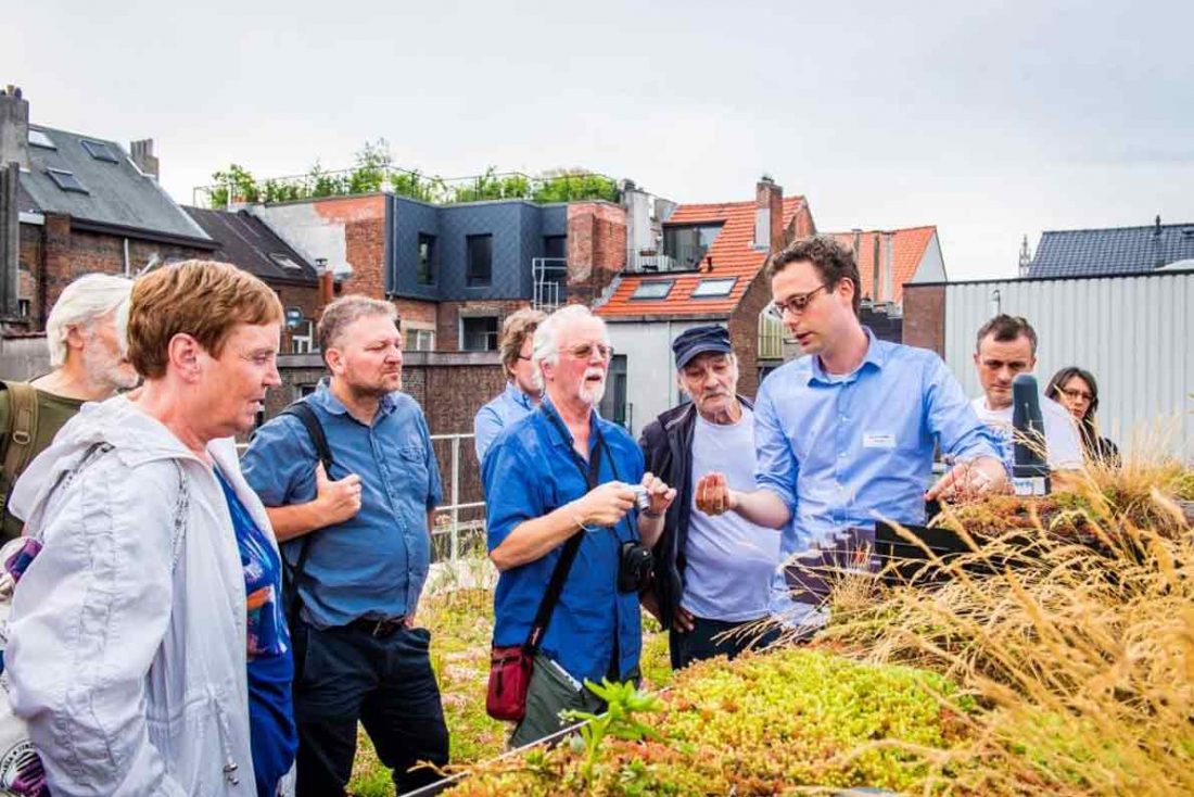 BRIGAID COI Antwerp Saint Andries Living Lab ©frederikbeyens Intelligent Groendak