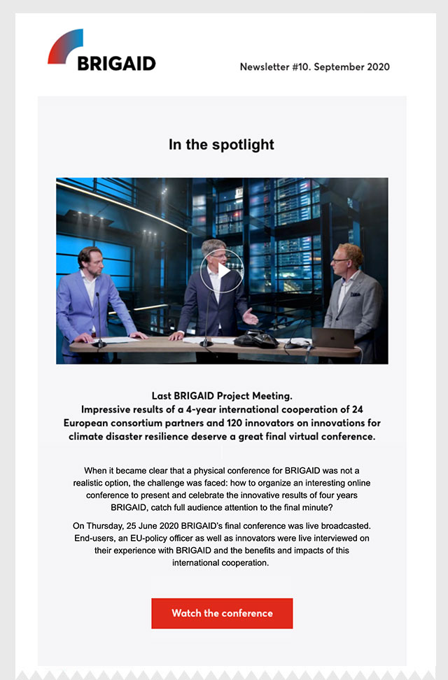 BRIGAID - Newsletter - Last BRIGAID Project meeting